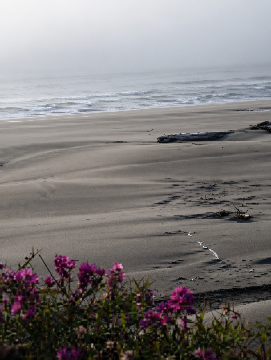Bandon beach with wildflowers